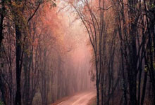 米兰官网:聖路易斯城SC主場首秀取勝 展示足球底蘊!.