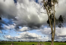 西班牙法院批准丹尼爾奧莫臨時註冊 最快周日可為巴塞上陣.