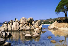 The North Face 100|曾小強拗柴忍痛95公里 被廢武功仍名列前茅.